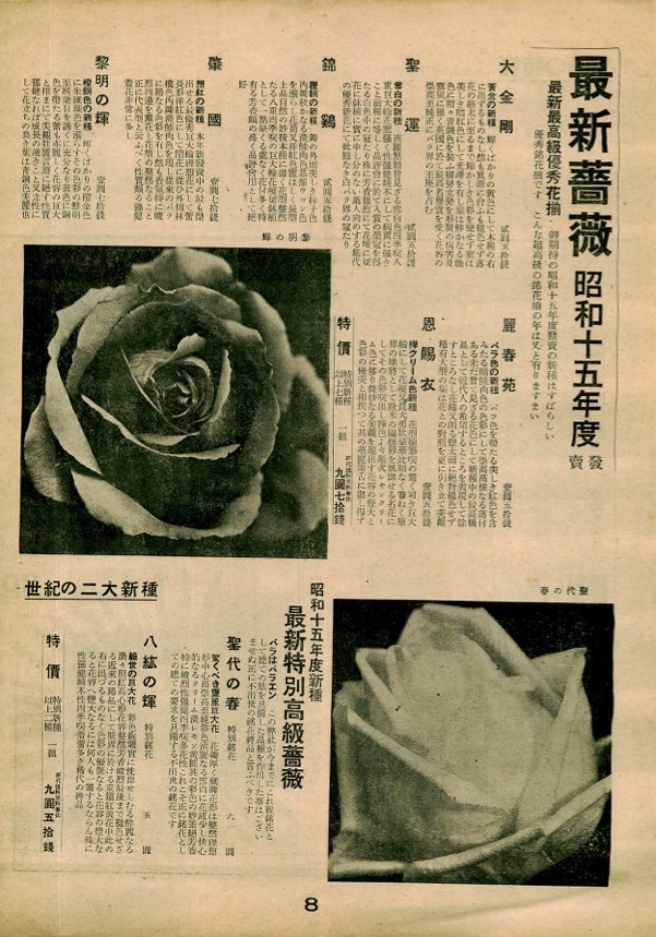 消然たる